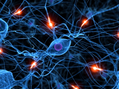 brain brain